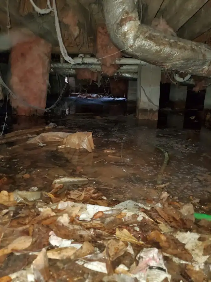 Crawl space flood assessment for Leak Detection & Repair in Modesto