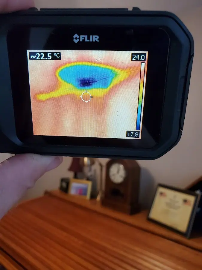 Thermal imaging inspection for water damage in Modesto